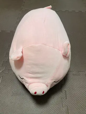 귀여운 돼지 봉제 인형