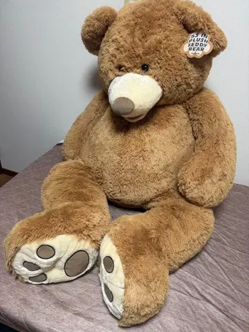 코스트코 테디베어 130cm
