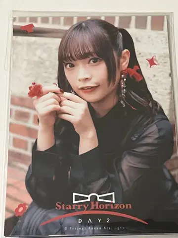 스타라이트 Starry Horizon DAY2 입장 혜택 브로마이드