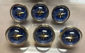 프로세카 반지 라이트 아오야기 토야