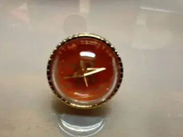 프로세카 라이트 반지 동운 아키토