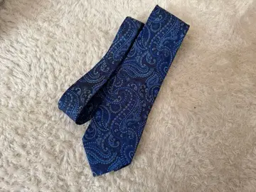 ETRO 페이즐리 넥타이