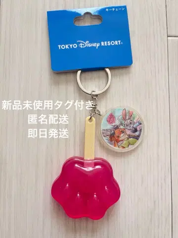 [ 미사용 새상품 ] 키체인 아이스캔디 주토피아2 리조트 발바닥