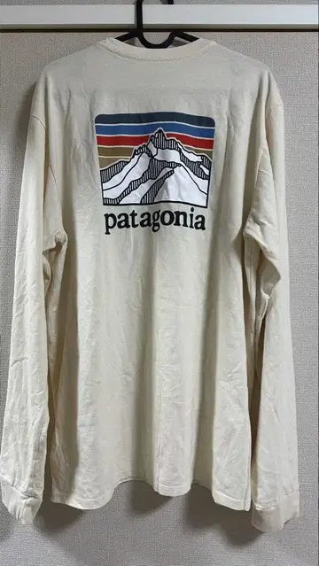 patagonia M 롱T셔츠 파타고니아