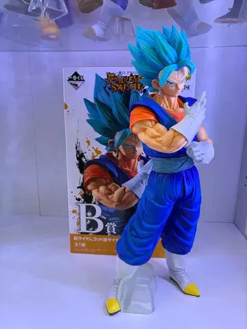 익스트림 사이어인 베지트