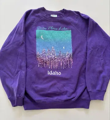 구제 Hanes 맨투맨 트레이닝복 M 사이즈