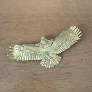 골드 독수리 목걸이