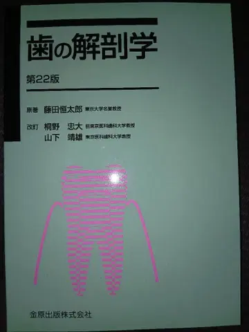 새상품급 [치아 해부학 제22판]