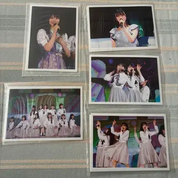 노기자카46 한여름의 전국 투어 2022 choose5 브로마이드