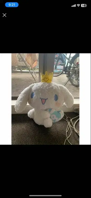 최종 가격 인하! 시나몬 Big 봉제 인형