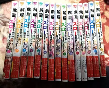 해고된 암흑 병사(30대)의 슬로우 라이프 1~15권 세트