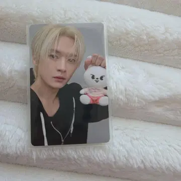 Stray Kids 스키즈 zootopia skzoo 리노 트레이딩 카드