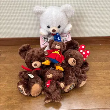 유니베어시티 5체 세트