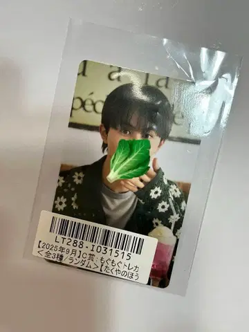 초특급 타쿠야 키라리 C상 냠냠 트레이딩 카드 타쿠야의 시금치