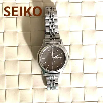 SEIKO 실버 스테인리스 스틸 시계 작동 미확인 브라운 다이얼