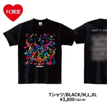 EXILE LIVE TOUR 팬클럽 한정판 T셔츠 XL 블랙