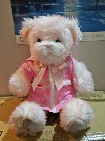 메루카리 시 한정판 빌드어베어 핑크 리본