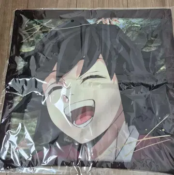 귀멸의 칼날 주합 회의편 토미오카 기유 쿠션 커버