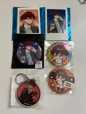 망각 배터리 치하야 묶음 판매