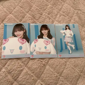 이코럽 타카마츠 히토미 () 브로마이드 시나몬 시나모롤 컴프 2