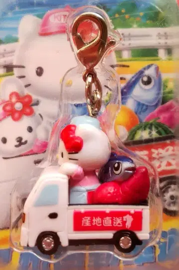 지역 한정 키티 규슈 규슈 자동차도 지퍼 마스코트 스트랩 단종 새상품