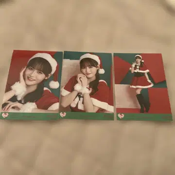 이코럽 타카마츠 히토미 () 생사진 크리스마스 산타 2024 컴프