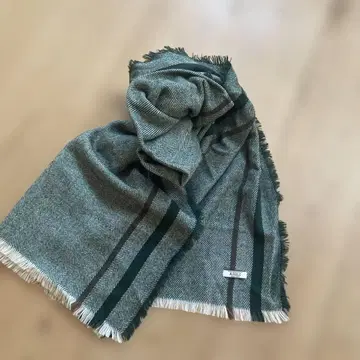 AIGLE 헤링본 스톨 그린 계열