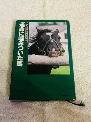 운명에 물어뜯긴 말 선데이 사이렌스