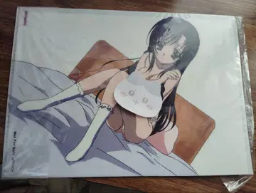 카츠라 코토노하 클리어 파일 not for sale SchoolDays