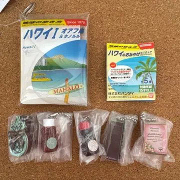 하와이 기념품 가챠