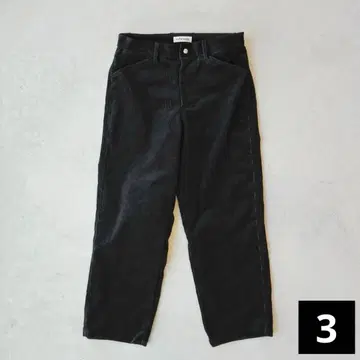 echeveria Euro Corduroy Work Torouthers