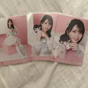 사사키 마이카 브로마이드 컴프