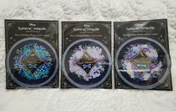 트위스테 블루밍 벌스데이 플라워 아크릴 코스터 옥타비넬 세트