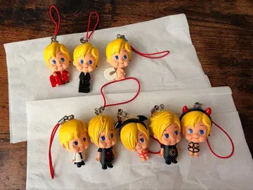 Acid Black Cherry 오비츠큐피 세트 판매