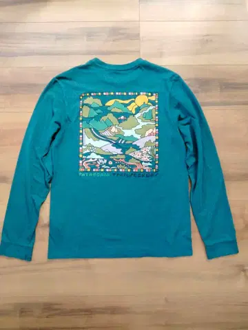 Patagonia 긴팔 티셔츠 터콰이즈