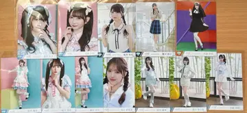 빅 브로마이드 묶음 판매 노이미