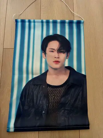 K-POP 패브릭 소재 포스터 seventeen 민규 트레카세트