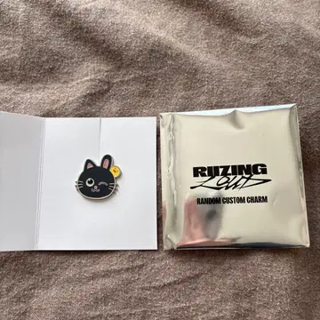 riize 랜덤 커스텀 참 원빈