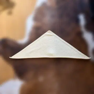 COS 크림색 삼각형 머플러