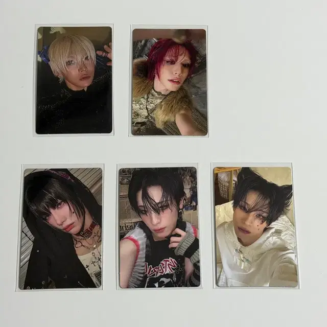 엑스러브 언러브 앨범 포카