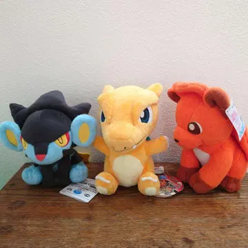 포켓몬 봉제 인형 3개 세트 리자몽 렌트라 로토무