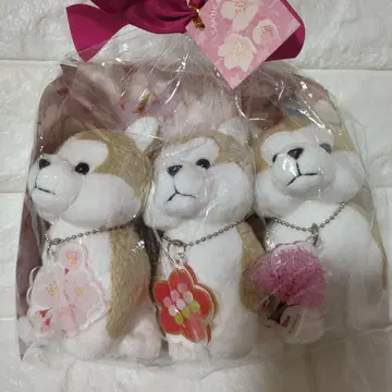 하치후루 봄철 기간 한정 꽃놀이 마스코트 키링 3종 세트