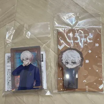 블루 록 에고전 코롯토 나기