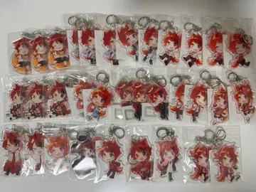 스토푸리 리이누 아크릴 키링 33개 묶음 판매