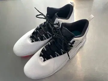 Jordan Super.Fly MVP 'White Black'