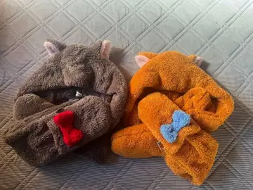 디즈니 마법의 고양이   팬캡