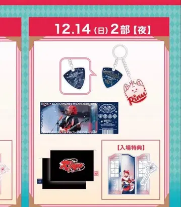 리이누 코토노하 원더랜드 고베 업그레이드 14일 밤