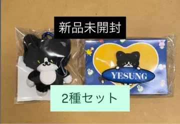 예성 팬 라이트 응원봉 액세서리 봉제 인형 키링 세트