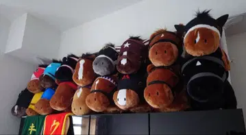 [레드 디자이어] 서러브레드 컬렉션