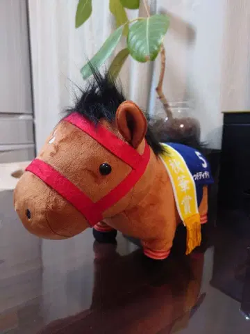 [레드 디자이어] 서러브레드 컬렉션